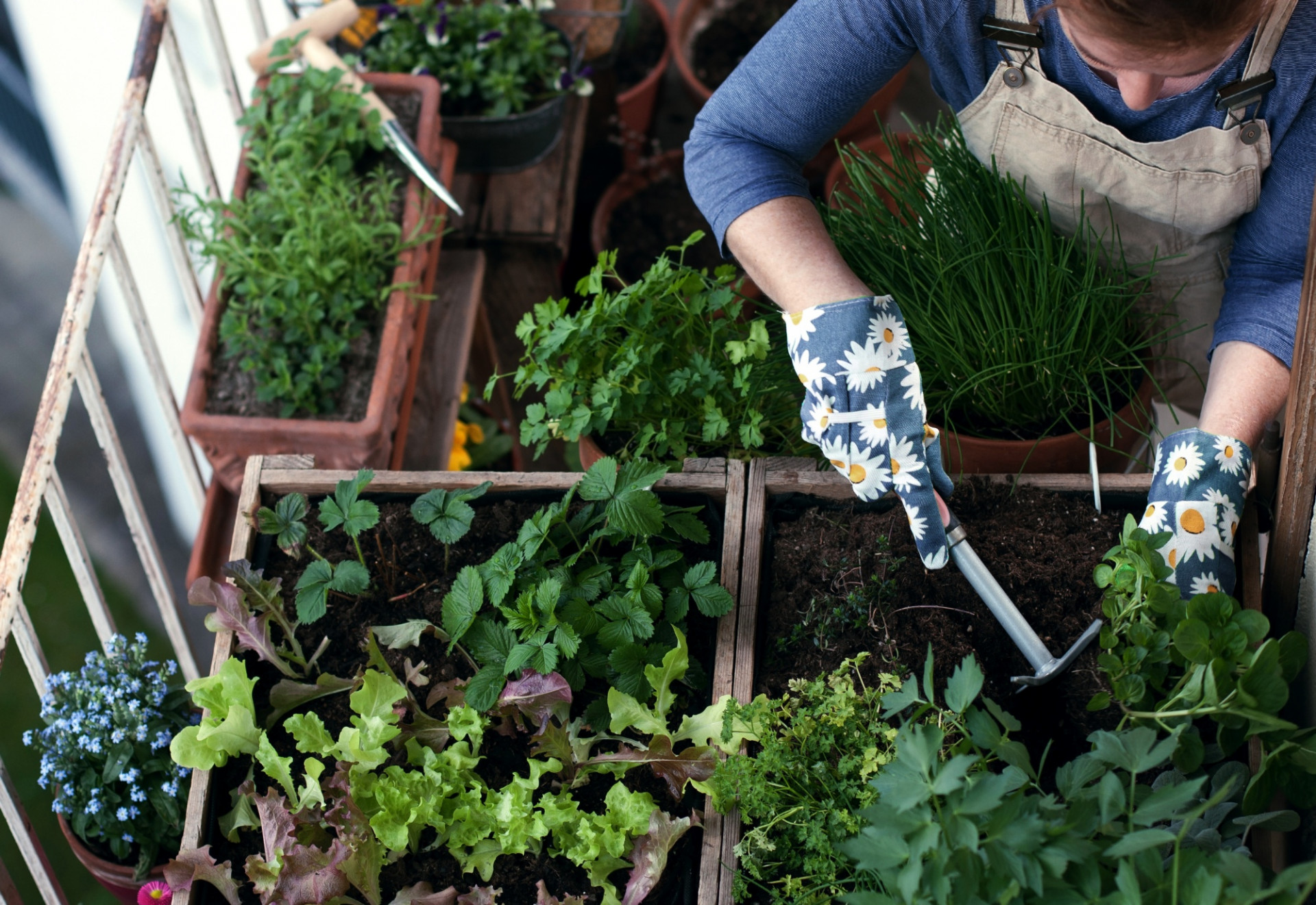 Sansiri Blog Urban Living Cover