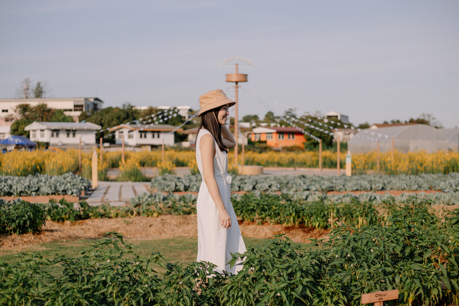 Sansiri Backyard T77