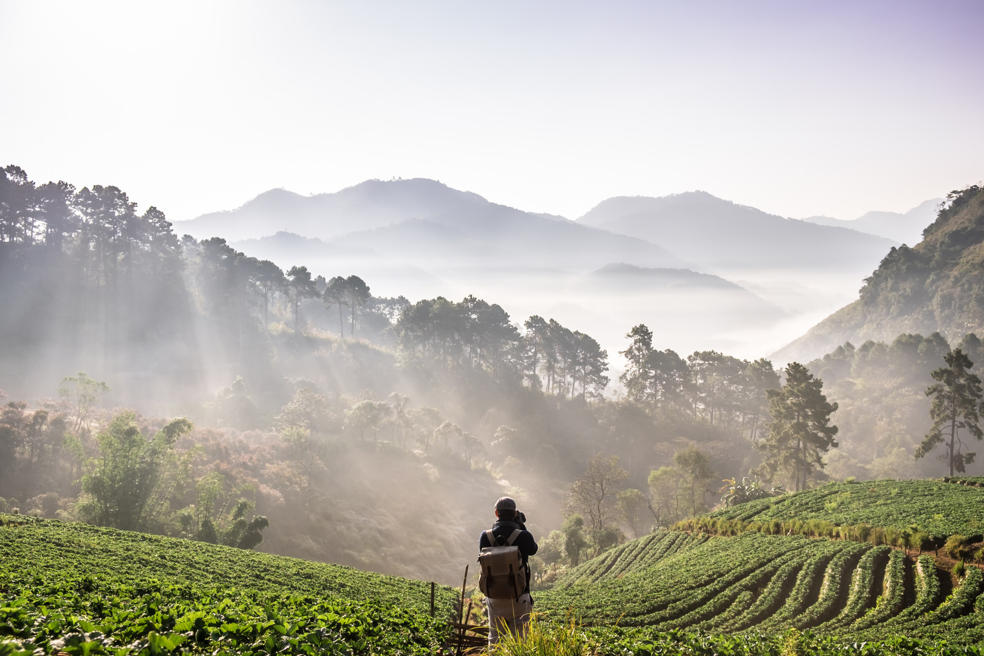 เชียงใหม่ chiang mai