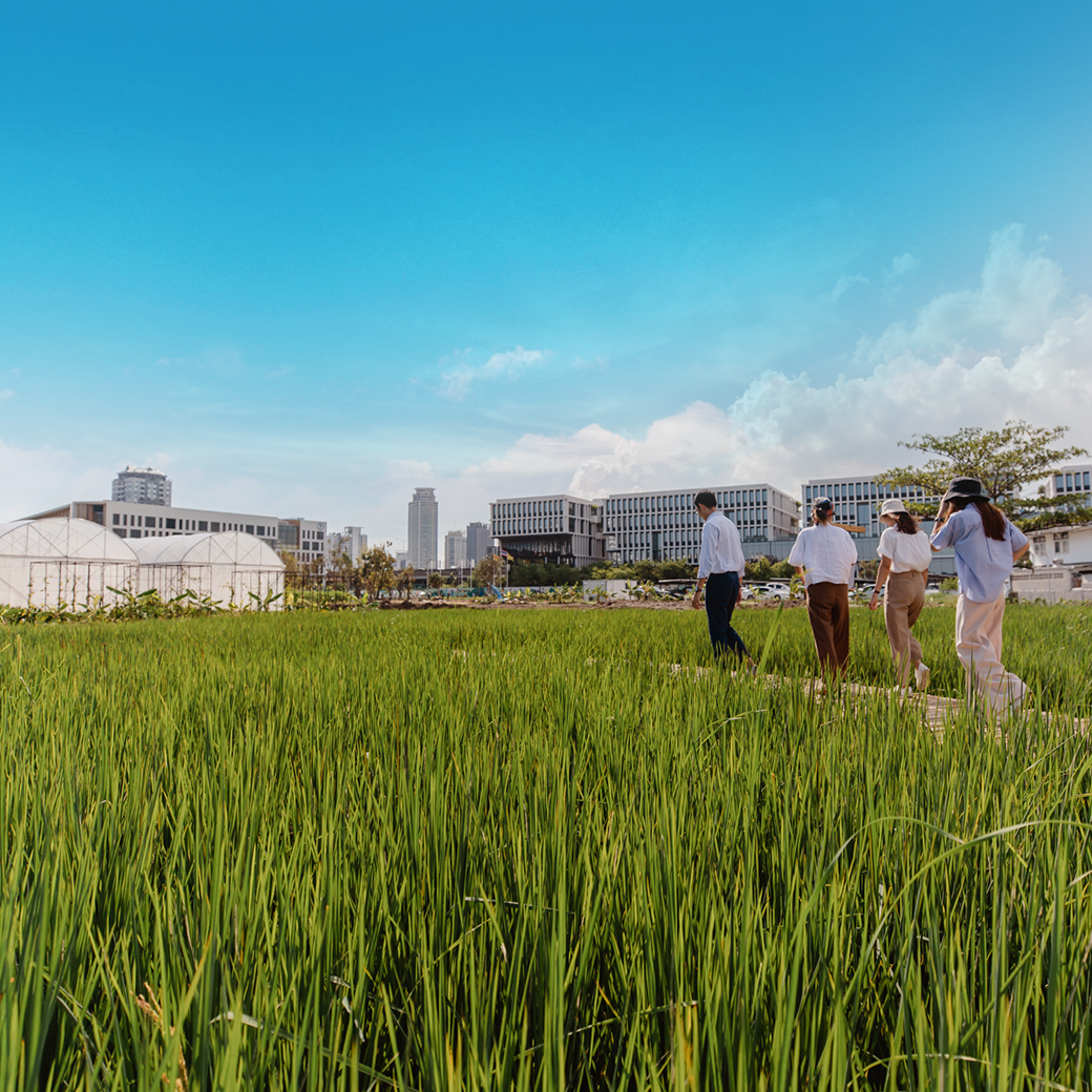 ร่างกายต้องการสีเขียว! ซัมเมอร์นี้ ชวนไปพักที่ 5 สวนสวยรอบกรุงฯ แสนสิริ แบ็คยาร์ด sansiri backyard