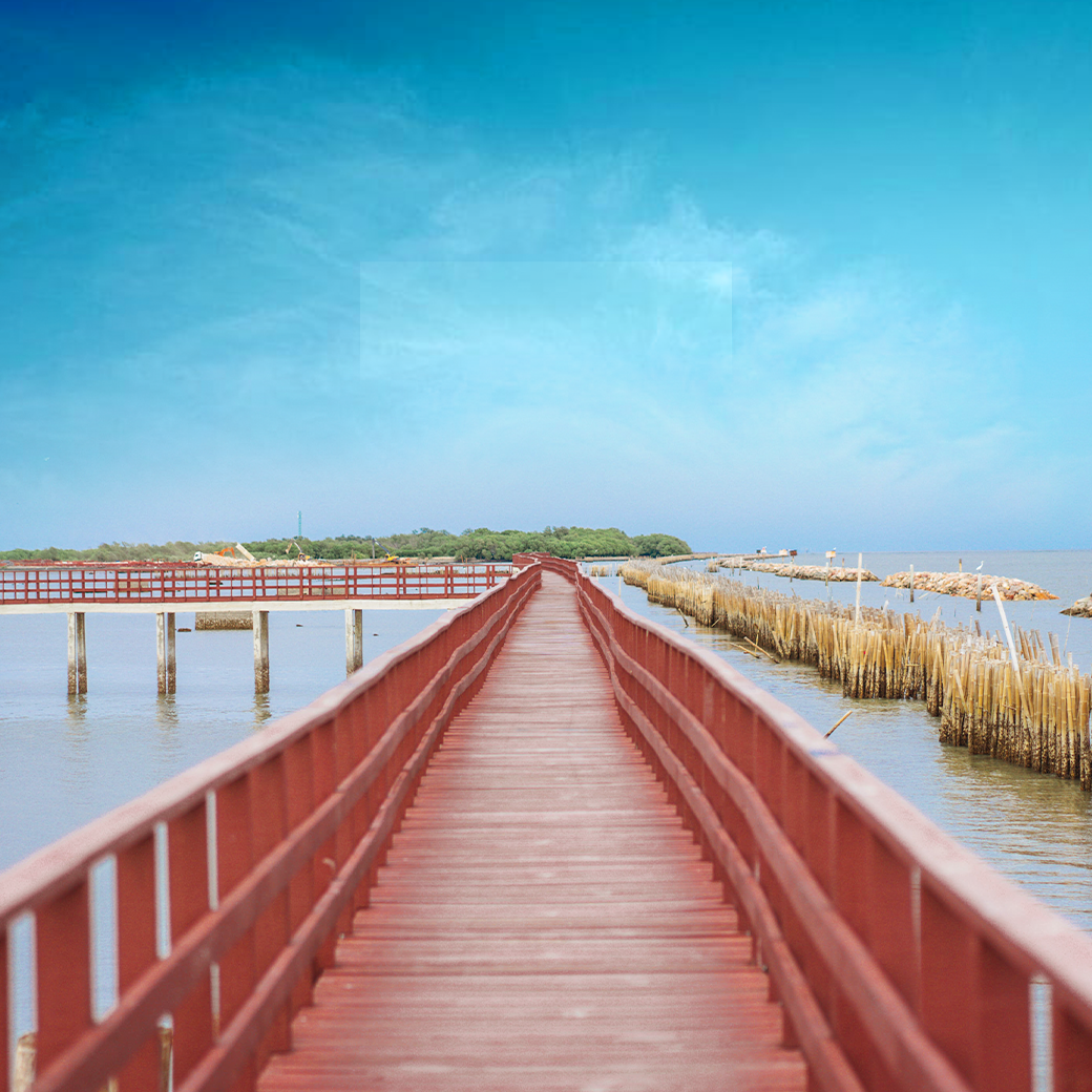 ร่างกายต้องการสีเขียว! ซัมเมอร์นี้ ชวนไปพักที่ 5 สวนสวยรอบกรุงฯ บึงหนองบอน ชายทะเลบางขุนเทียน