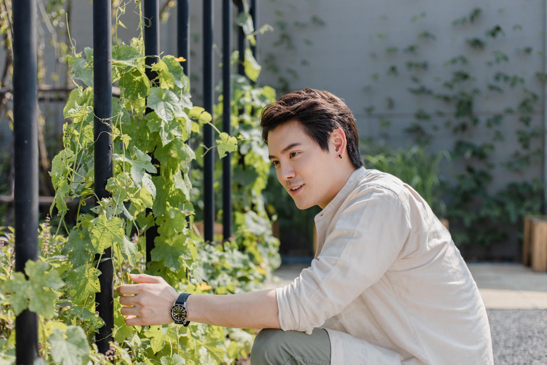 หลังบ้านเรามีผัก sansiri backyard sansiri แสนสิริ