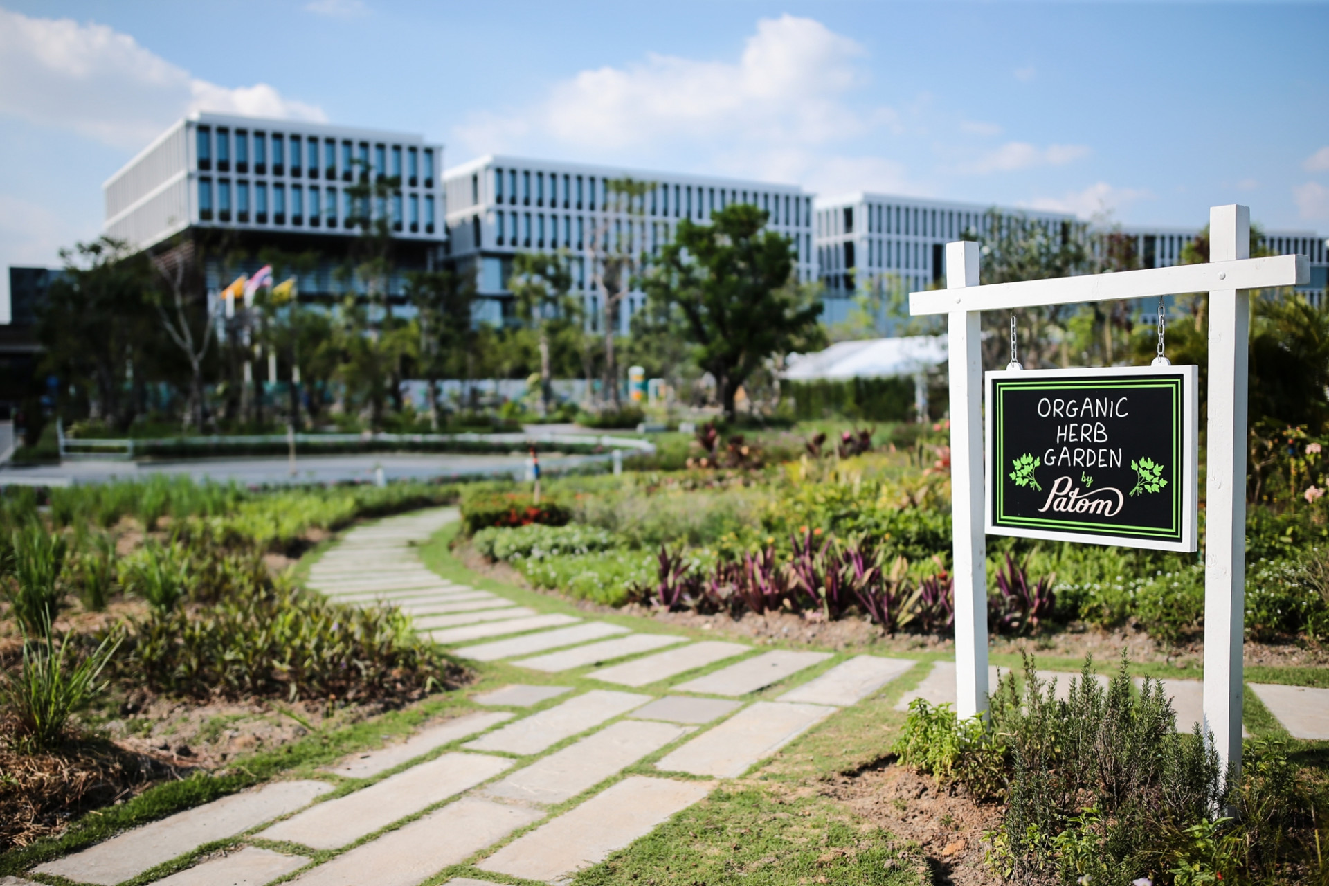 siri campus sansiri earth day วันคุ้มครองโลก sansiri sustainability sansiri green mission sansiri backyard tree day precast factory