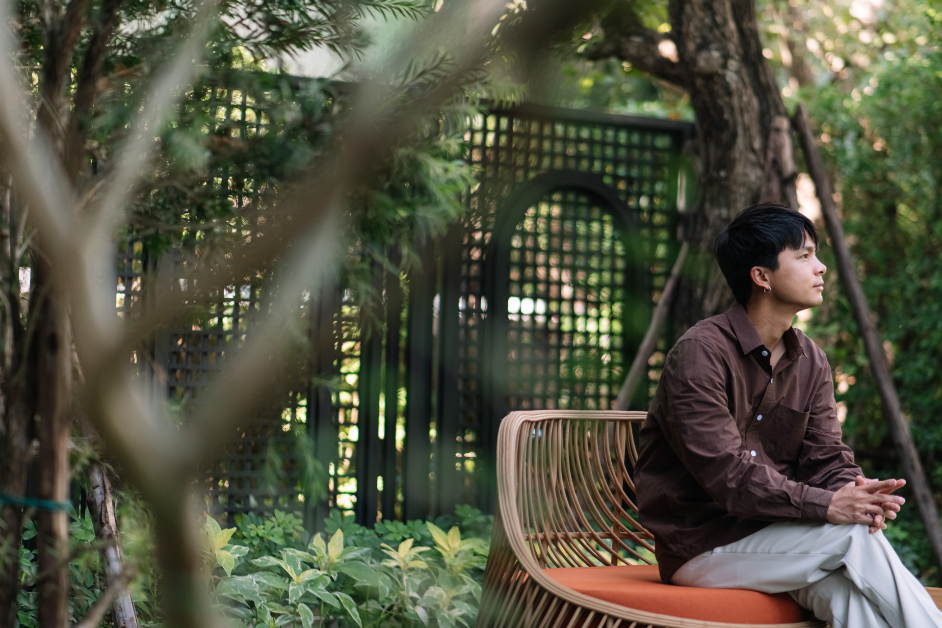 หลังบ้านเรามีผัก sansiri backyard sansiri แสนสิริ