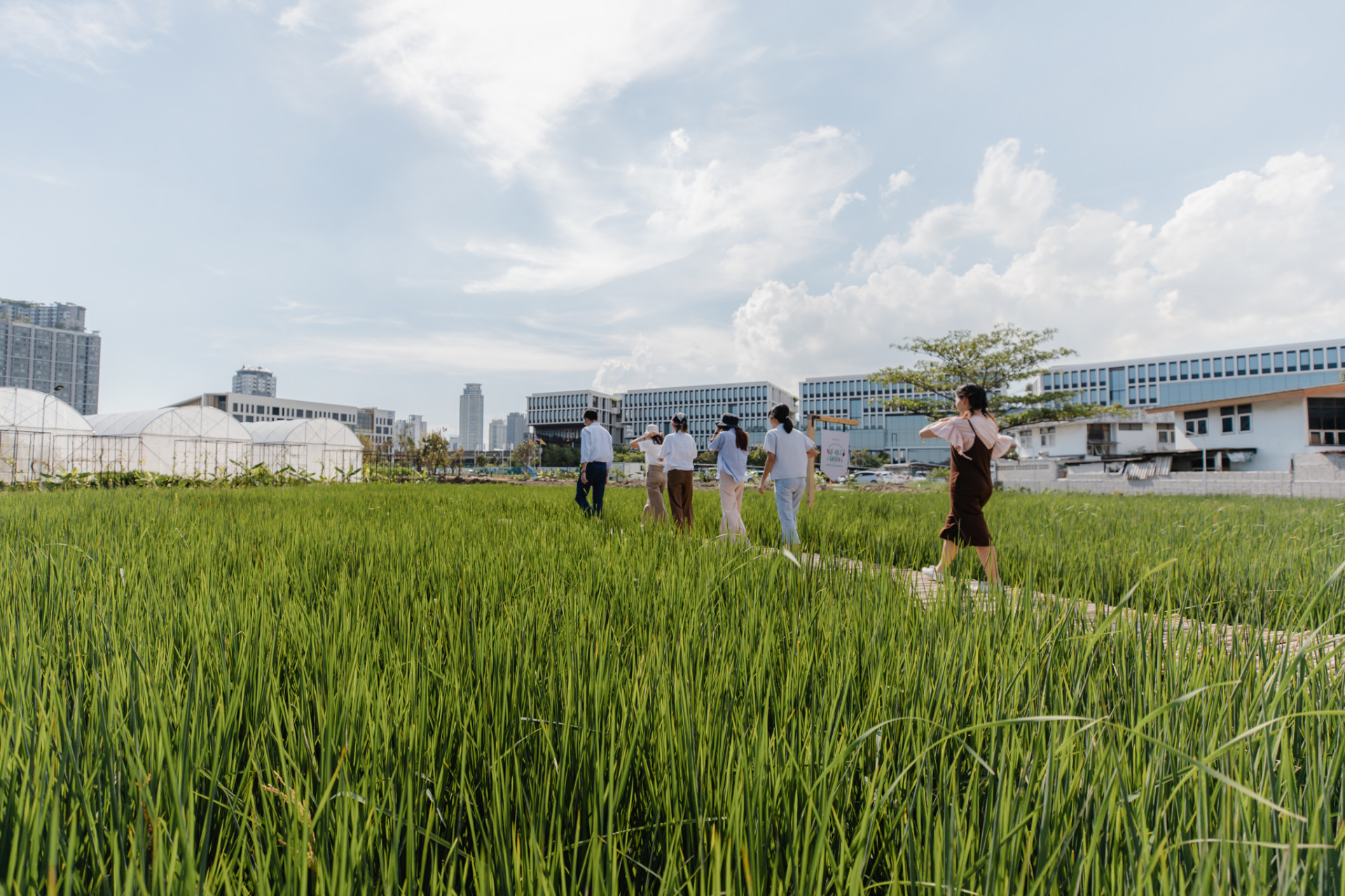 sansiri earth day วันคุ้มครองโลก sansiri sustainability sansiri green mission sansiri backyard tree day precast factory