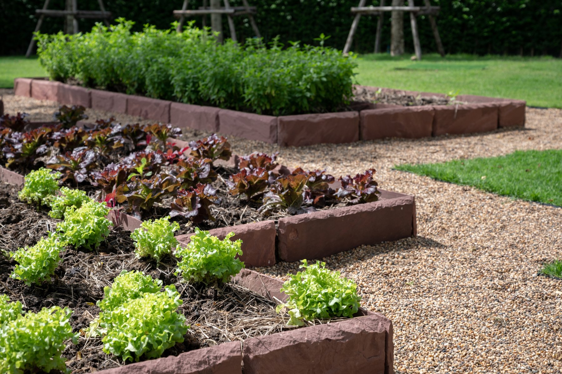 siri_place_ratchapruek-rama_5, กรีนโอ๊ค เรดโอ๊ค, sansiri backyard, sansiribackyard, แสนสิริแบ็คยาร์ด