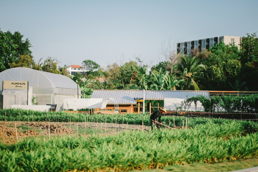 มิติด้านสิ่งแวดล้อม ของ ESG กับภาคธุรกิจไทย