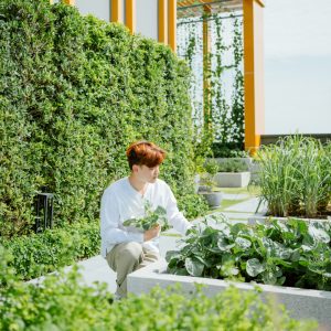 TheBasePetchburiThonlor_เดอะเบสเพชรบุรีทองหล่อ_SansiriBackyard