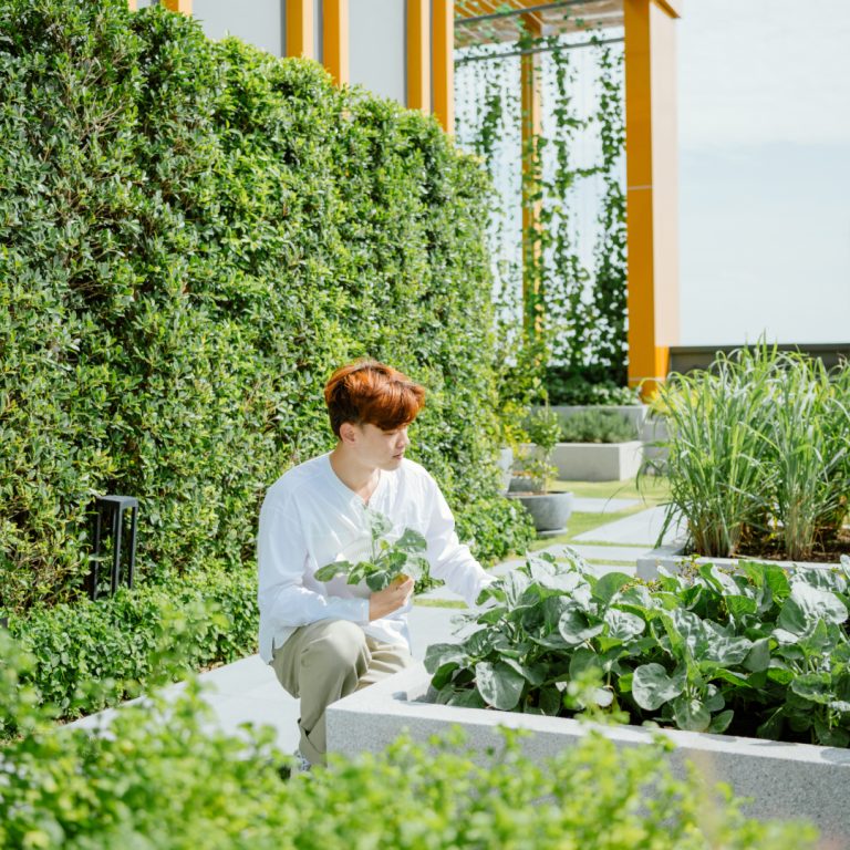 TheBasePetchburiThonlor_เดอะเบสเพชรบุรีทองหล่อ_SansiriBackyard