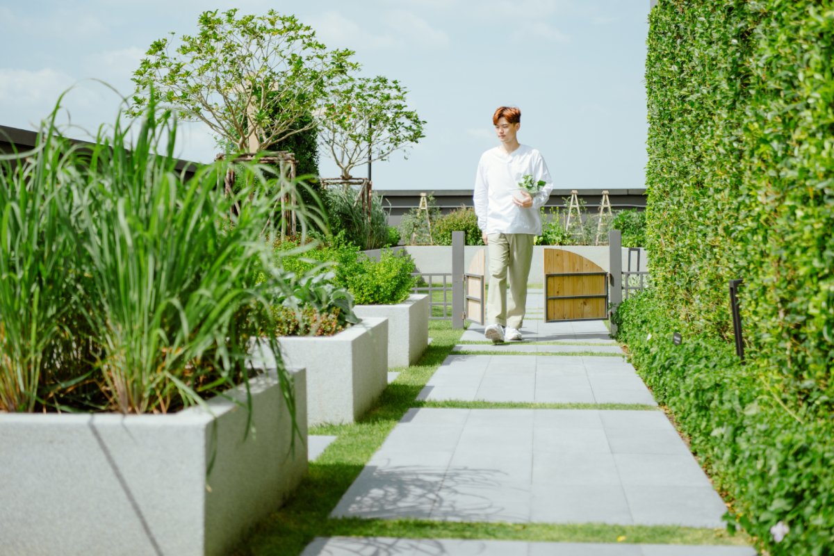 TheBasePetchburiThonlor_เดอะเบสเพชรบุรีทองหล่อ_SansiriBackyard