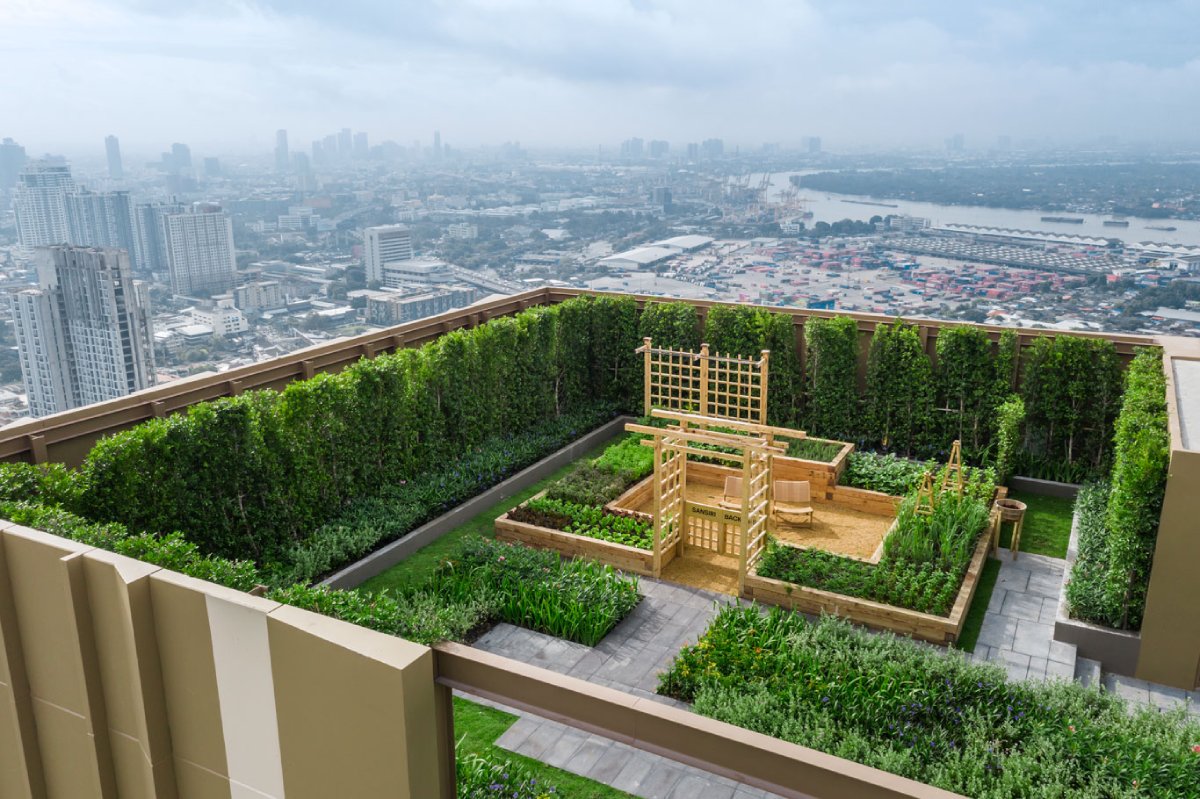 oka haus_SansiriBackyard_โอกะเฮาส์