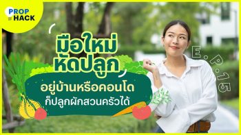 อยู่บ้านหรือคอนโด ก็ปลูกผักสวนครัวได้ : Prop Hack EP. 15