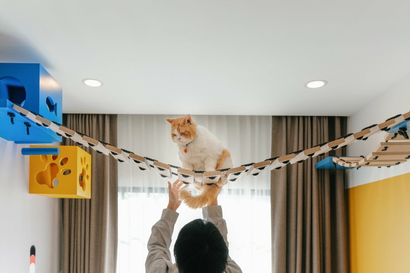 petfriendlyhome-บ้านสำหรับสัตว์เลี้ยง