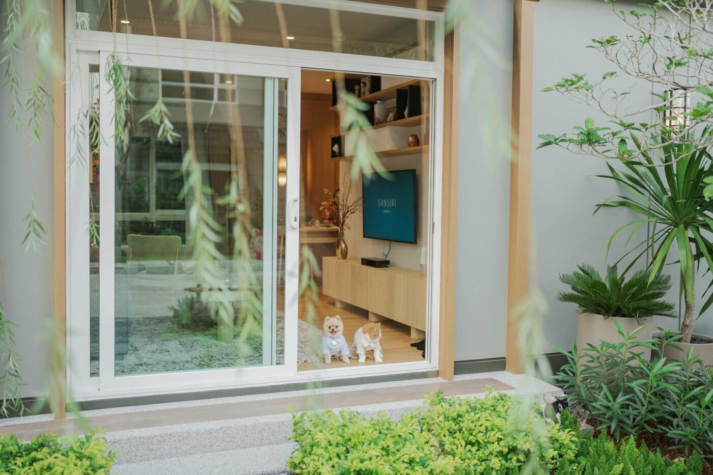 petfriendlyhome-บ้านสำหรับสัตว์เลี้ยง