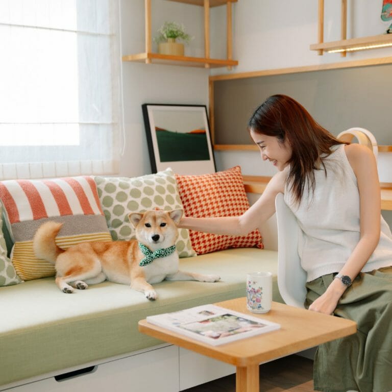 petfriendlyhome-บ้านสำหรับสัตว์เลี้ยง