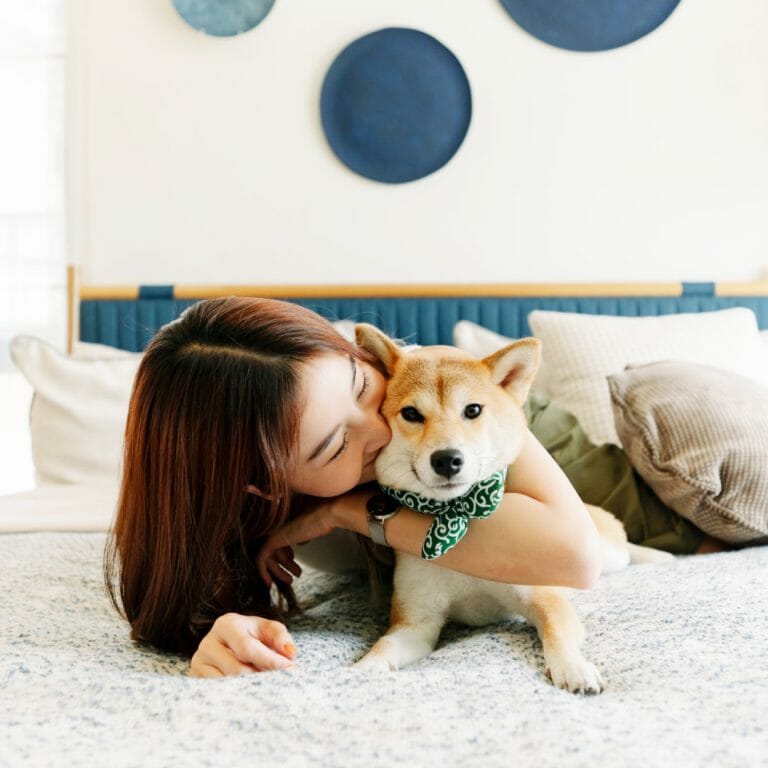 pet friendly-บ้านสำหรับสัตว์เลี้ยง-petfriendlysansiri