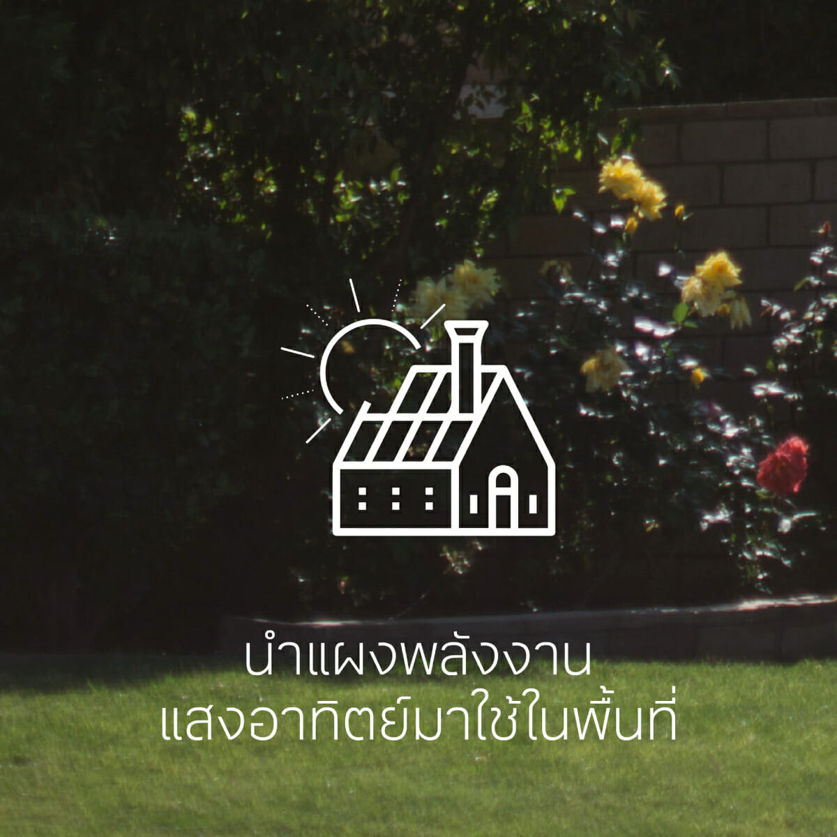 sustainability-solar panel-solar cell