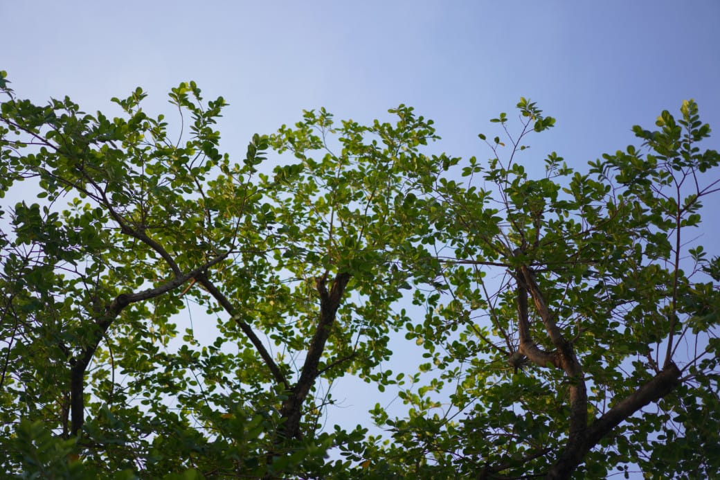 BehindTheDesign_Ep02-8