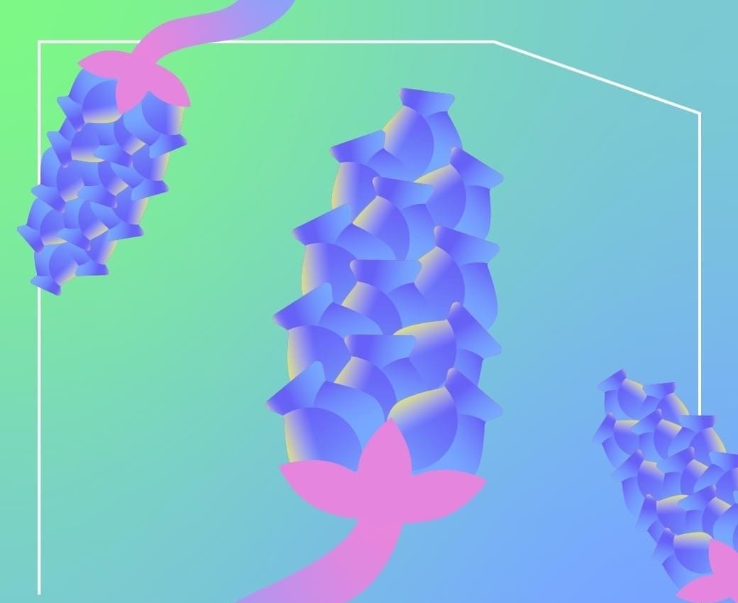 EVERY BLOOMING HAS A STORY