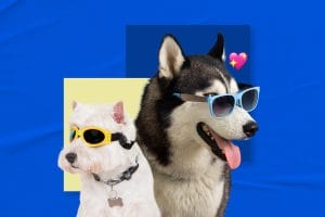 open house character dog