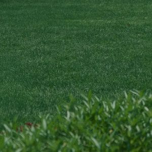 SANSIRI SUSTAINABLE DESIGN