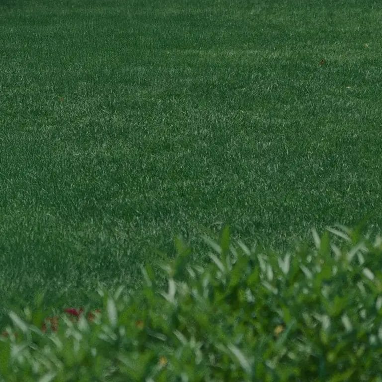 SANSIRI SUSTAINABLE DESIGN